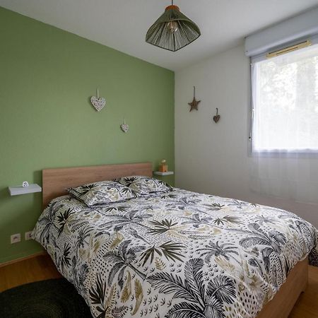 L'Airbusien - Terrasse Et Parking - Airbus A Cote Apartman Colomiers Kültér fotó